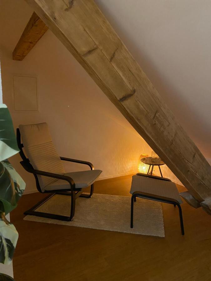 Eine Schoene Wohnung An Der Birs Basel Ngoại thất bức ảnh