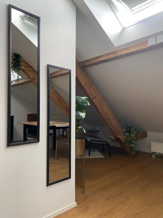 Eine Schoene Wohnung An Der Birs Basel Ngoại thất bức ảnh