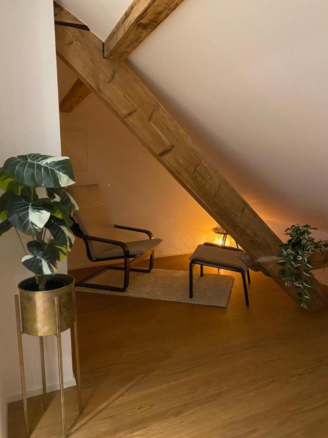 Eine Schoene Wohnung An Der Birs Basel Ngoại thất bức ảnh