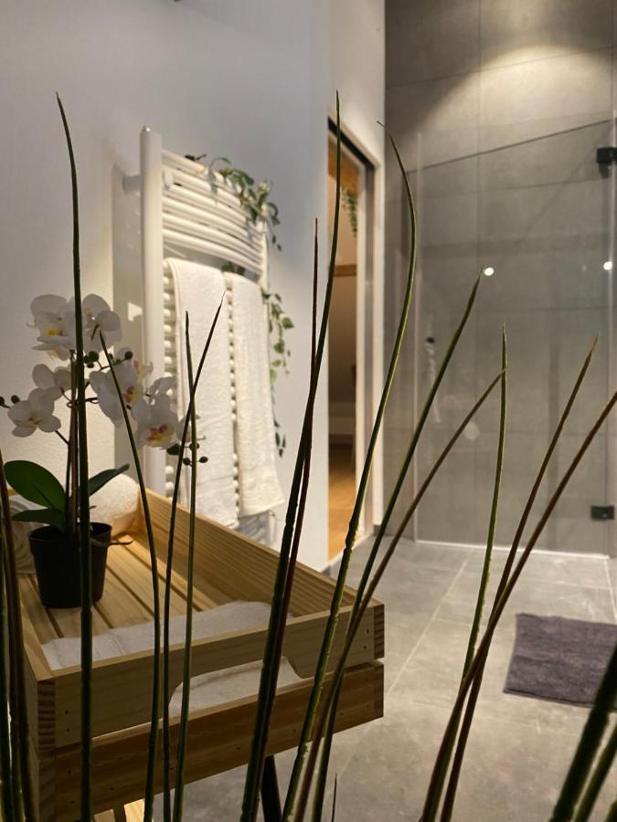 Eine Schoene Wohnung An Der Birs Basel Ngoại thất bức ảnh