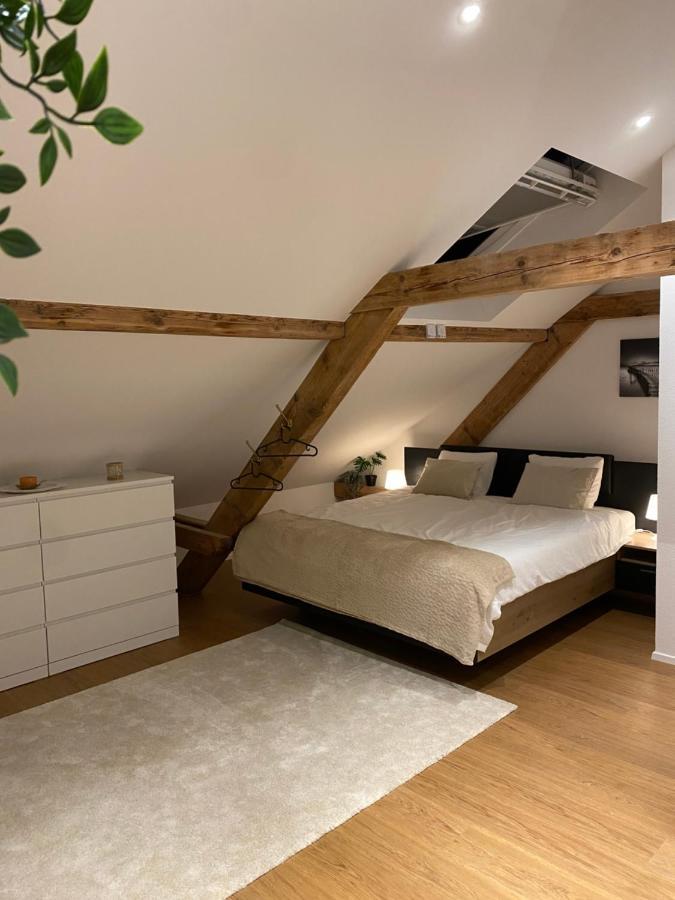Eine Schoene Wohnung An Der Birs Basel Ngoại thất bức ảnh